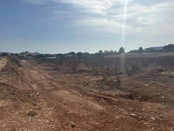 Terreno en camino de la Pedrera, 1