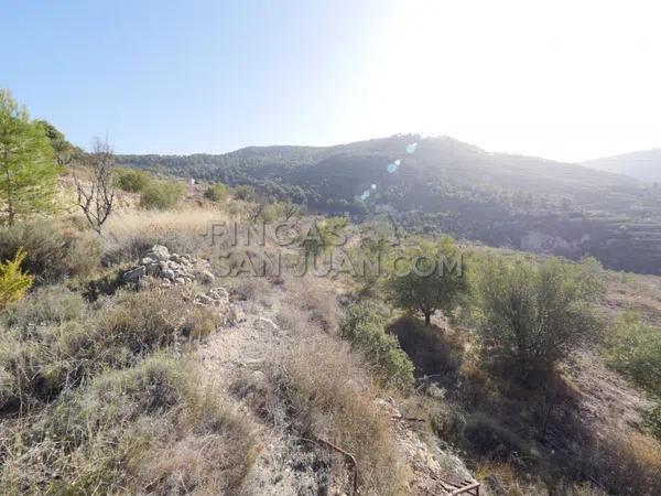 Terreno en Torremanzanas