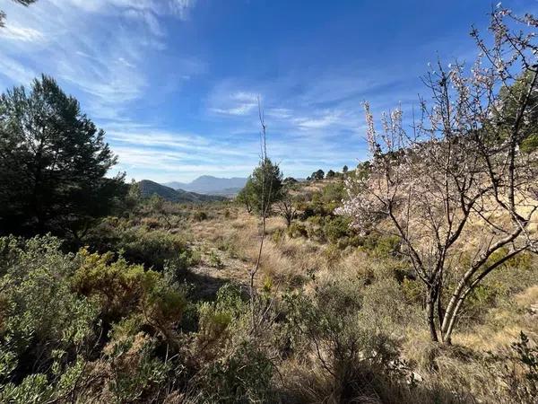 Terreno en Torremanzanas