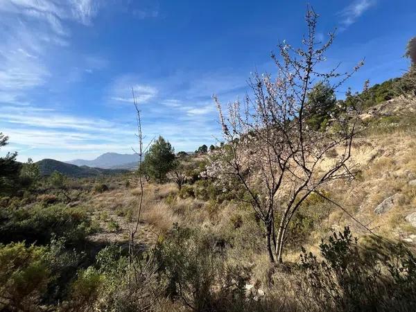 Terreno en Torremanzanas