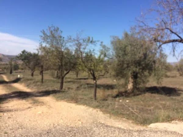 Terreno en Cañada