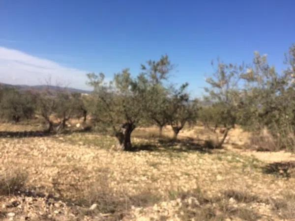 Terreno en Cañada