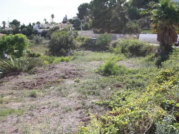 Terreno en Pinar de Advocat-Cometa