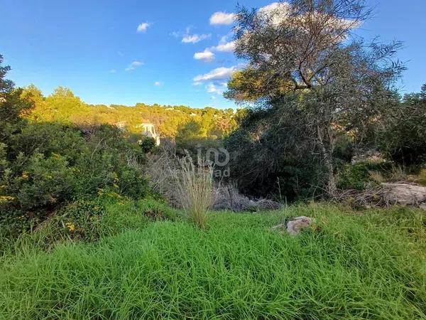 Terreno en calle Corriol, 381