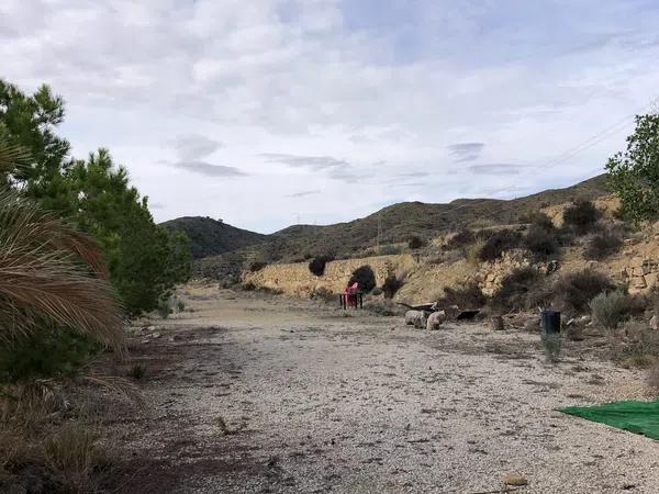 Terreno en Partida de Coca, 142