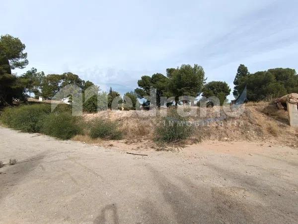 Terreno en Pueblo Levante