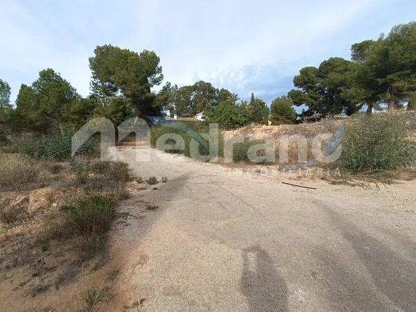 Terreno en Pueblo Levante