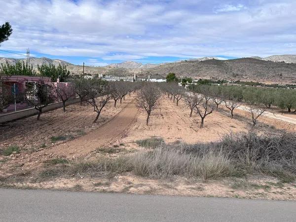 Terreno en 51. El Fondo De Les Neus/hondon De (Alicante), 51