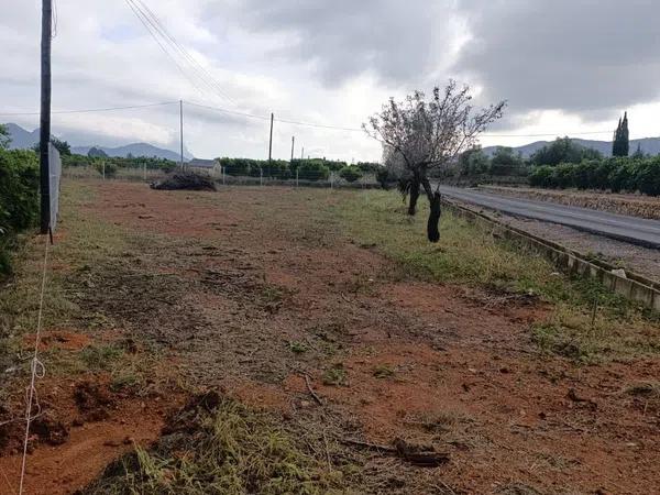 Terreno en carretera benidoleig, 1