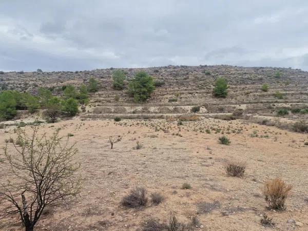 Terreno en Hondón de las Nieves