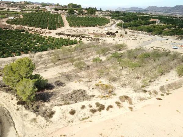 Terreno en Desamparados-Hurchillo-Torremendo