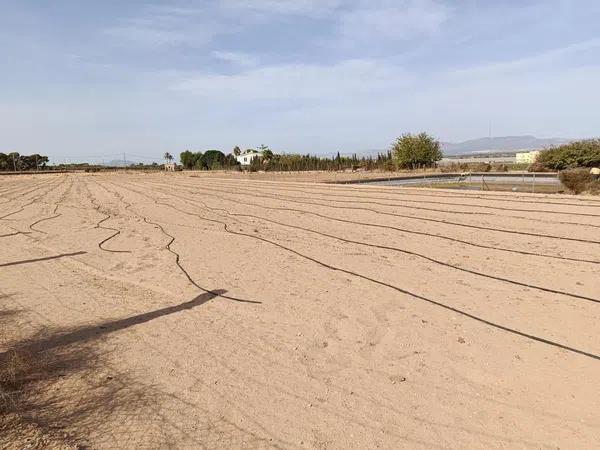 Terreno en La Marina