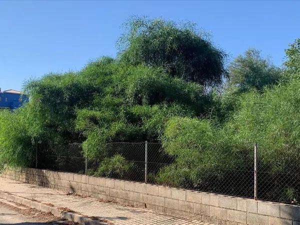 Terreno en calle Riu del Vedat