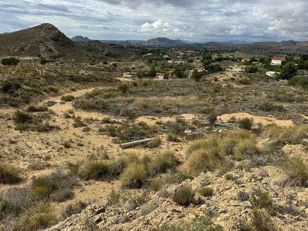 Terreno en Partida Tossal Redó s/n