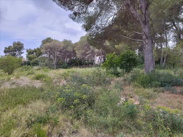 Terreno en calle de Roncadell, 110 -114