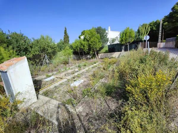 Terreno en calle de la Falguera, 3 -1