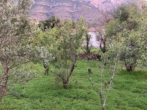 Terreno en Assagador de Santa Llúcia, 15 a