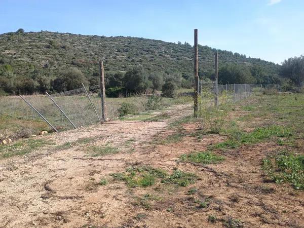 Terreno en Alcalalí