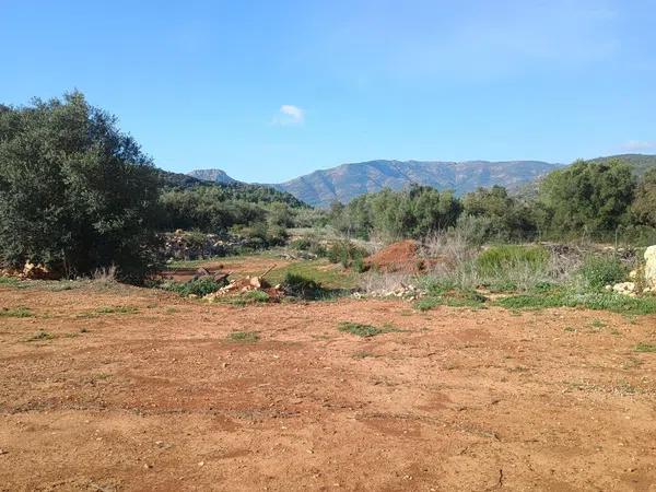 Terreno en Alcalalí