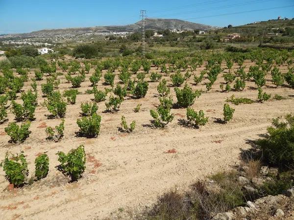 Terreno en Les Fonts