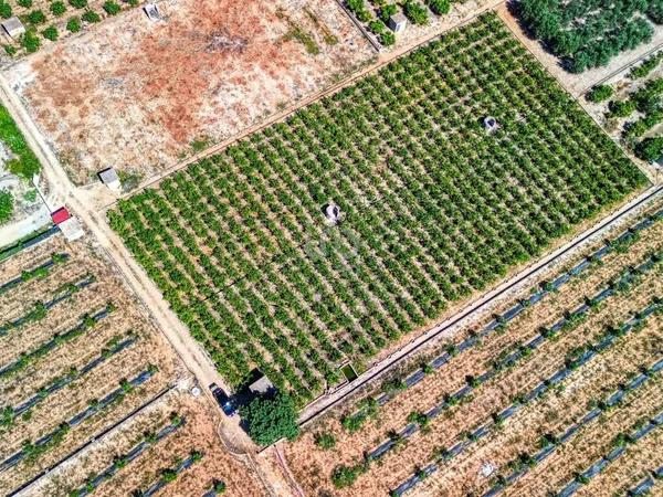 Terreno en Banyeres de Mariola