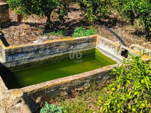 Terreno en Banyeres de Mariola