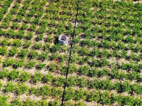 Terreno en Banyeres de Mariola