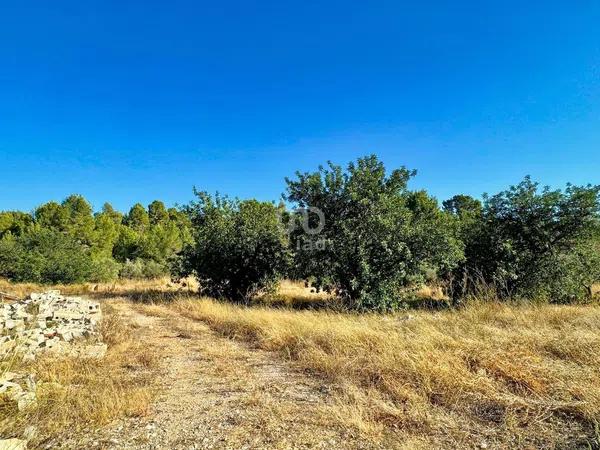 Terreno en Beniarbeig