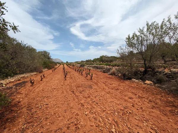 Terreno en Llíber