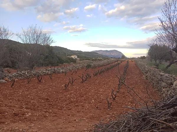 Terreno en Llíber