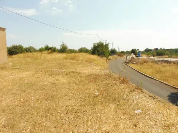 Terreno en avenida de Fontilles