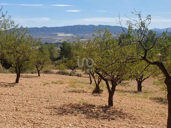 Terreno en Salinas