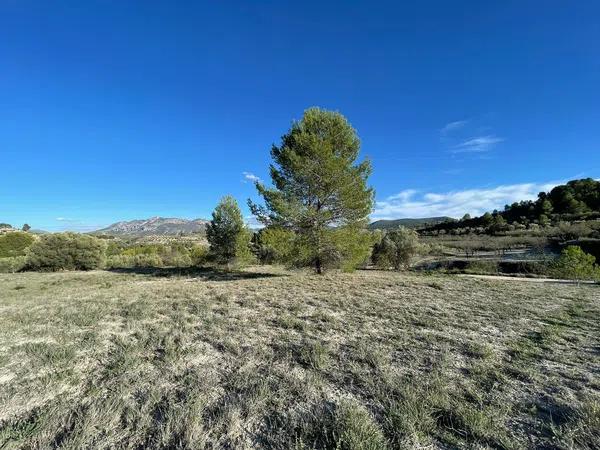 Terreno en Poligono 1