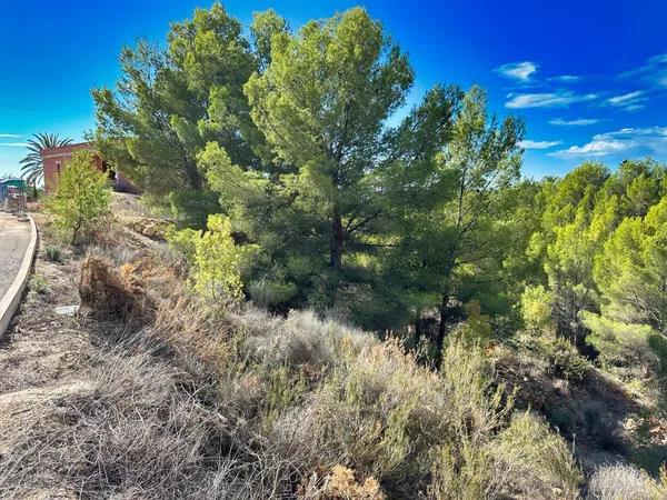 Terreno en Callosa d'En Sarria