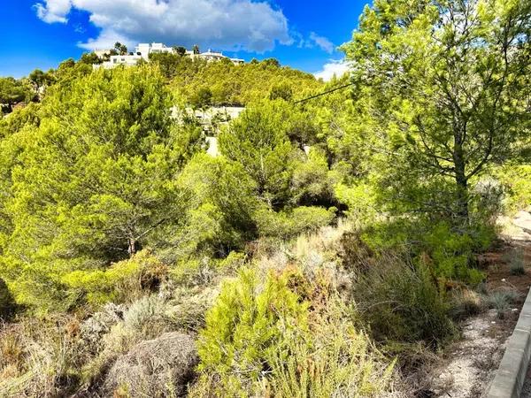 Terreno en Callosa d'En Sarria