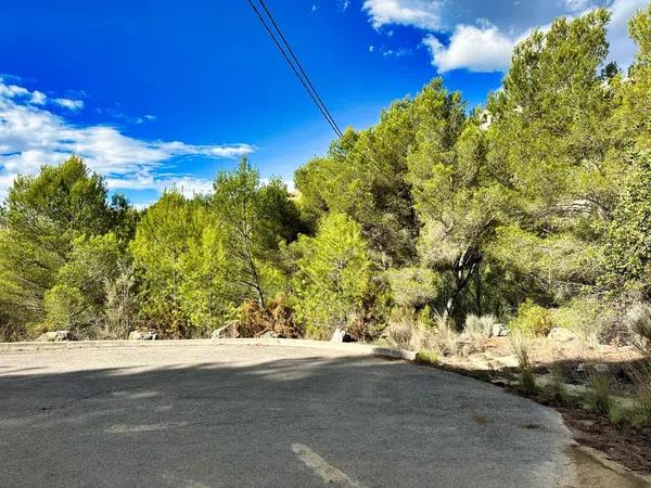 Terreno en Callosa d'En Sarria