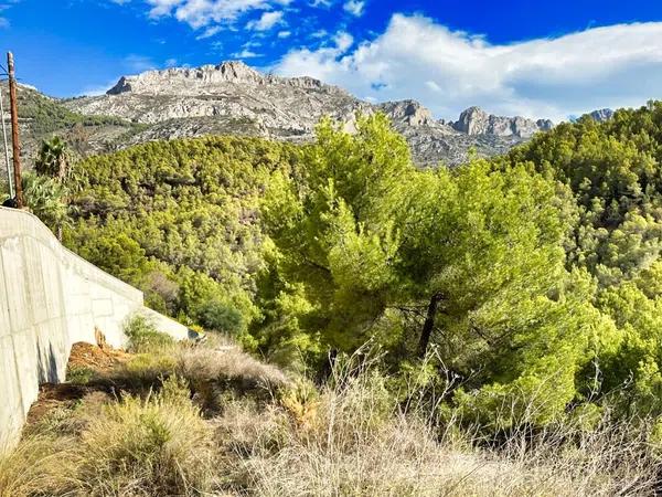 Terreno en Callosa d'En Sarria