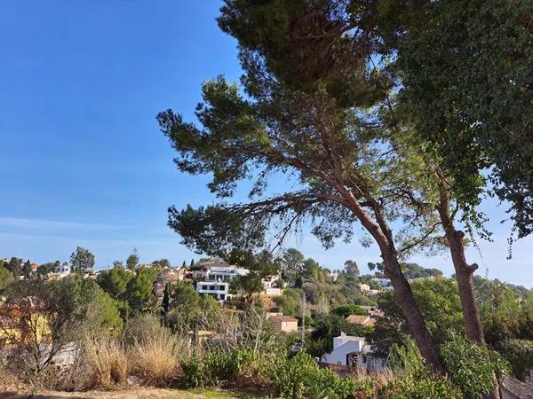 Terreno en El Montgó