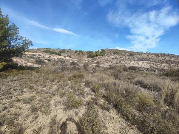 Terreno en Partida Peña Sendra