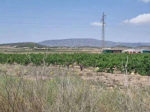 Terreno en Pinoso