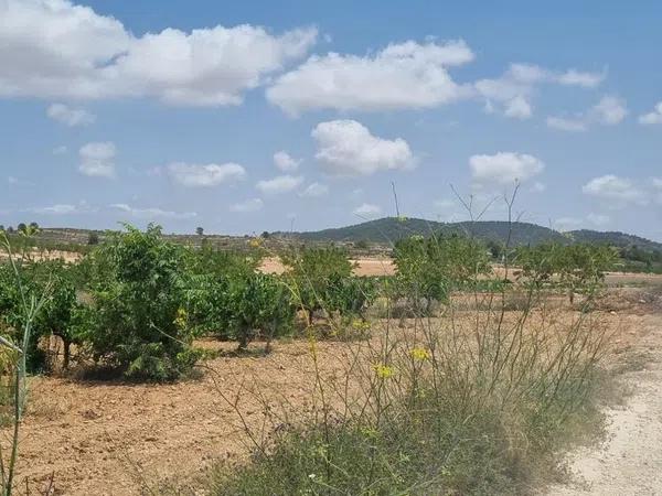 Terreno en Pinoso