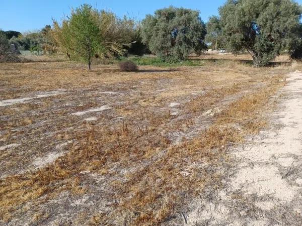 Terreno en camino La Rula