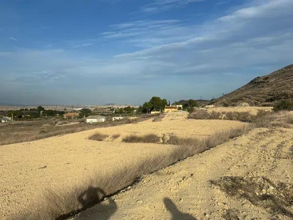 Terreno en alto Polígono 163 Parcela 1089