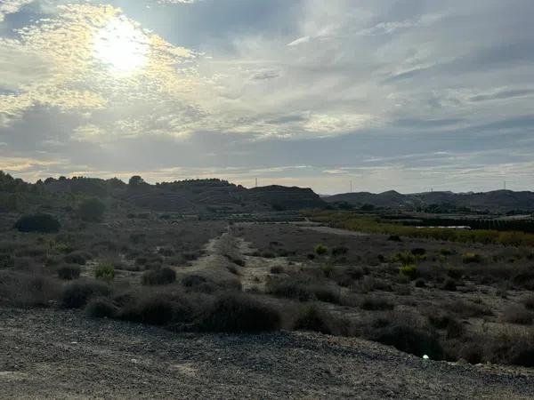 Terreno en alto Polígono 163 Parcela 1089