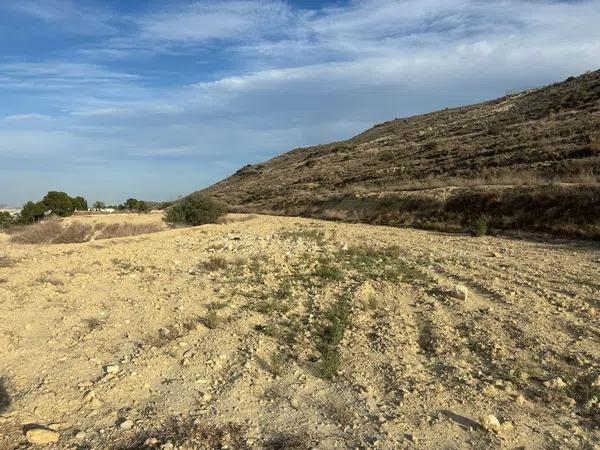 Terreno en alto Polígono 163 Parcela 1089