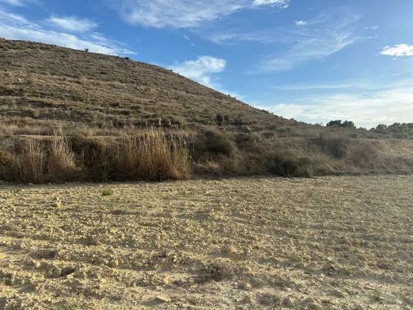 Terreno en alto Polígono 163 Parcela 1089