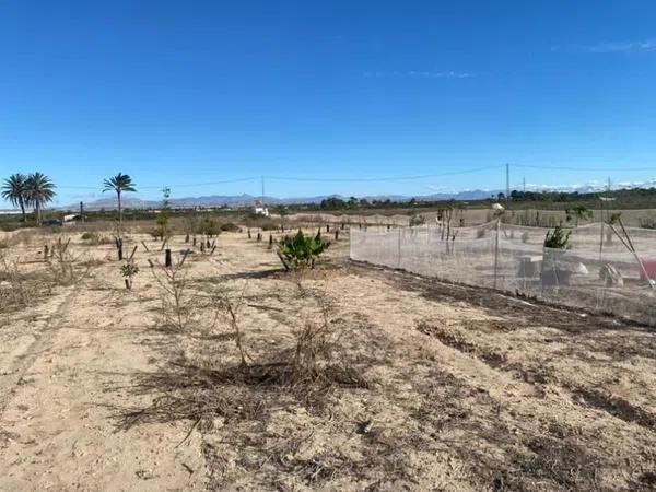 Terreno en La Marina