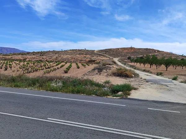 Terreno en poligono 10