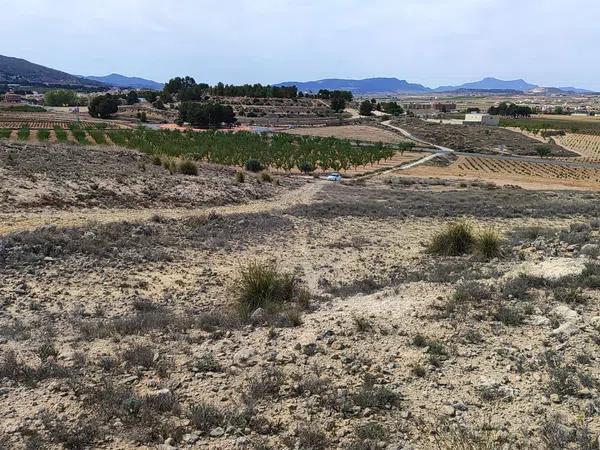 Terreno en poligono 10