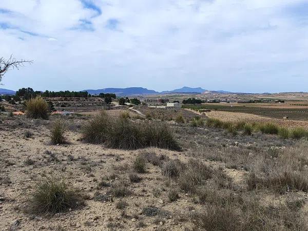 Terreno en poligono 10